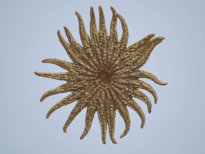 Golden Radiant Wall Decor With Textured Starburst Design And Hanging Ornament 3d model