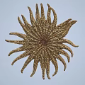 Golden Radiant Wall Decor With Textured Starburst Design And Hanging Ornament