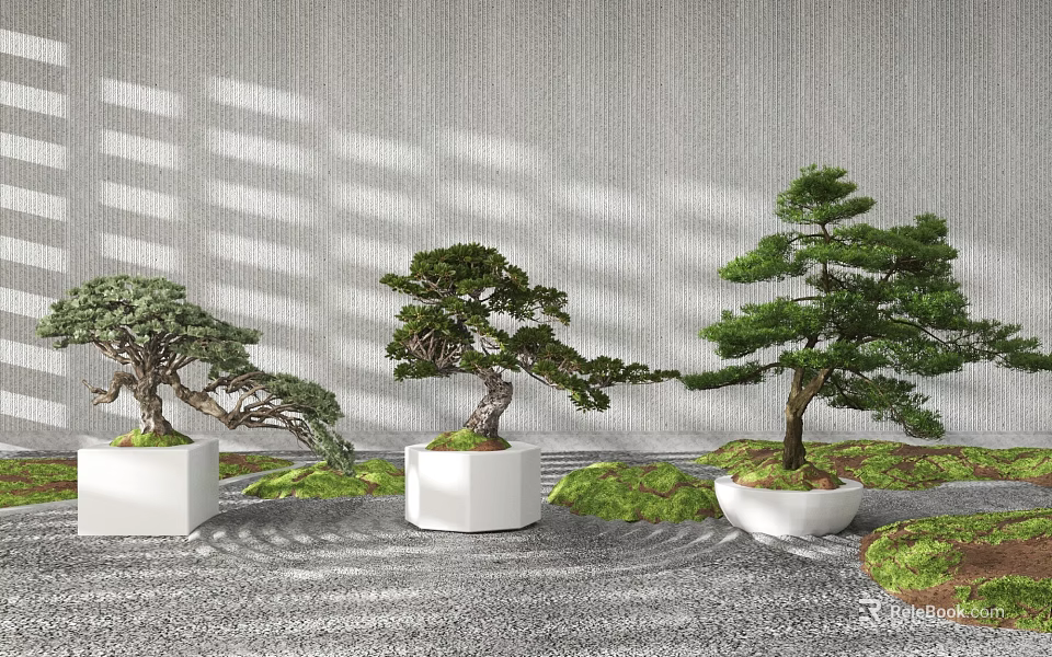 Bonsai Trees with Artistic Shapes in White Pots on Stone Ground and Moss 3d model 