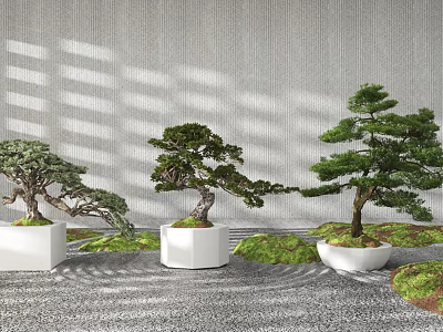Bonsai Trees with Artistic Shapes in White Pots on Stone Ground and Moss 3d model