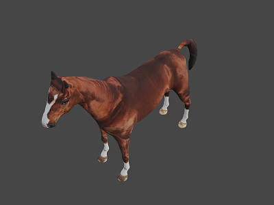 Realistic Brown Horse With White Markings Standing On Gray Background 3d model