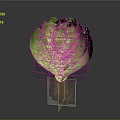 Fresh Green Lettuce With Visible Roots On Dark Background For Healthy Diet