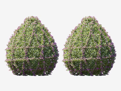 Decorative Outdoor Garden Shrubs With Rounded Shape Green Foliage And Purple Flowers 3d model