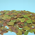 Natural Garden Decor Featuring Colorful Autumn Leaves In Various Shades And Hues
