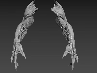 3D Model Of Symmetric Creature Claws With Skeletal Muscular Texture 3d model