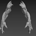 3D Model Of Symmetric Creature Claws With Skeletal Muscular Texture