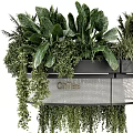Coffee shop reception desk coffee shop coffee green plants flowers round reception desk consulting desk front desk tooling 3d model