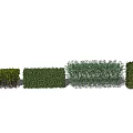Various Shrub Types with Lush Green Foliage and Distinct Growth Habits