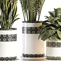 Bonsai Potted Plants With Various Green Foliage And Palm Leaves In Decorative White Pots