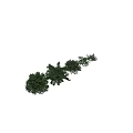 Green Leafy Bushes of Various Sizes for Garden Landscaping Design Ideas