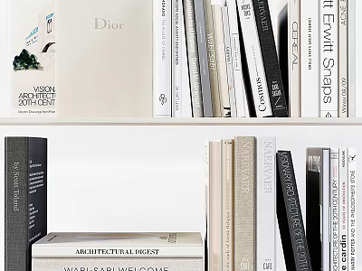 Design Architecture Fashion And Lifestyle Books Magazines On White Bookshelf Neatly Arranged 3d model
