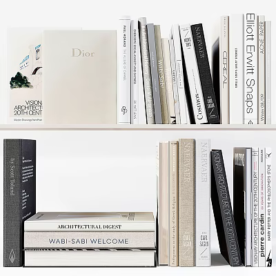 Design Architecture Fashion And Lifestyle Books Magazines On White Bookshelf Neatly Arranged 3d model