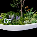 Decorative Flower Planter With Small Tree Various Plants And Colorful Flowers