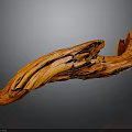Vibrant Orange Plant Driftwood With Smooth Surface On Gray Background