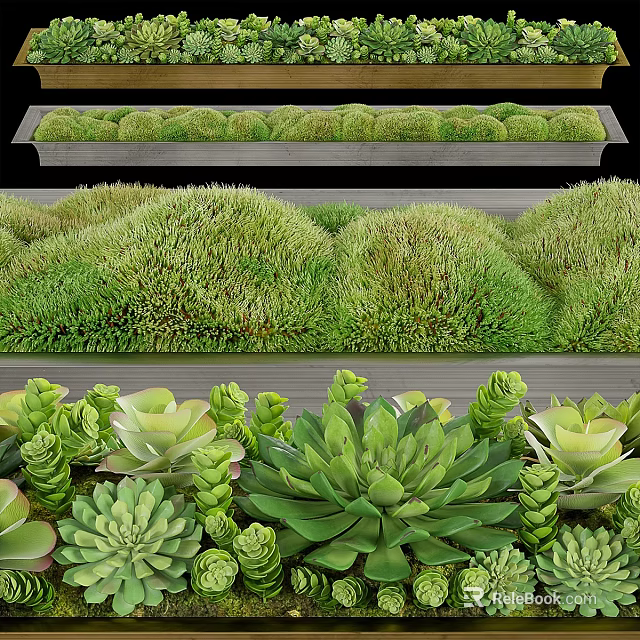 Decorative Flower Planters With Lush Succulents Mounded Greenery And Garden Design 3d model 