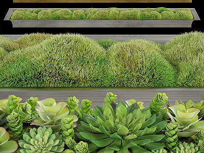 Decorative Flower Planters With Lush Succulents Mounded Greenery And Garden Design 3d model