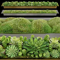 Decorative Flower Planters With Lush Succulents Mounded Greenery And Garden Design