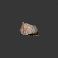 Natural Wood Log With Organic Texture On Rough Stone Slab Surface