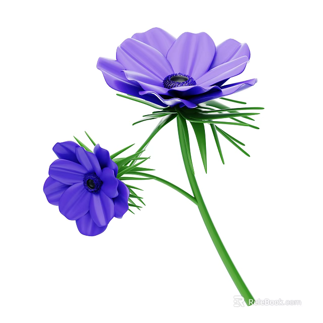 Vibrant Purple Flowers With Green Stems And Delicate Feathery Leaves 3d model 