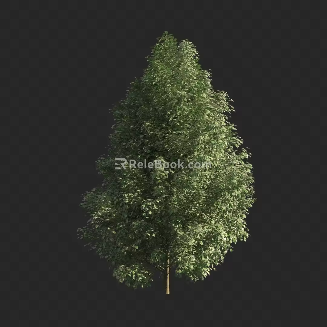 Tree Street Tree Landscape Tree 3d model