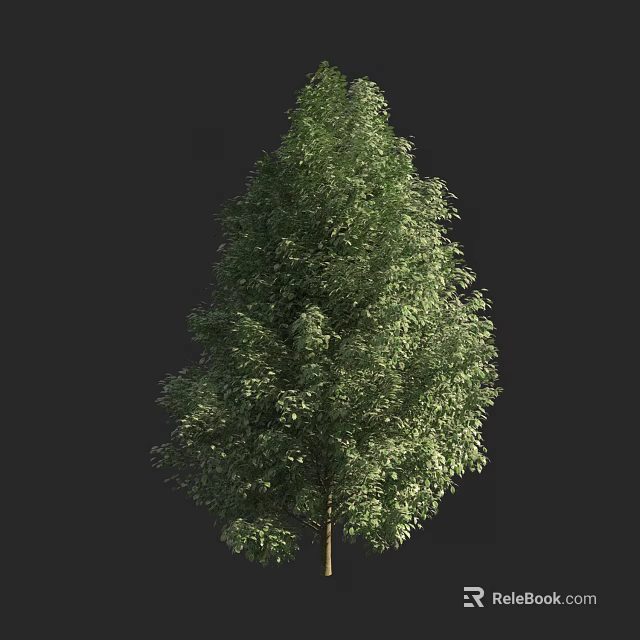 Tall Arbor With Lush Green Leaves And Dense Foliage In Natural Landscape 3d model 