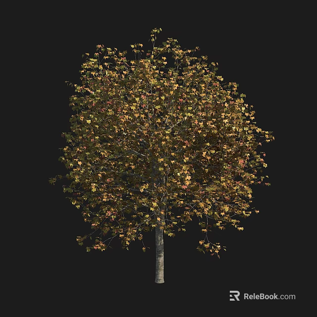 Lush Arbor With Yellow Green Leaves And Straight Trunk In Natural Scene 3d model 