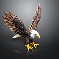 Eagle Statue With Spread Wings White Head Yellow Beak And Yellow Talons On Dark Background