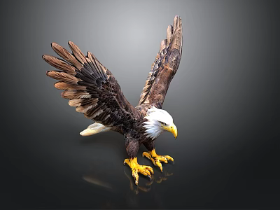 Eagle Statue With Spread Wings White Head Yellow Beak And Yellow Talons On Dark Background 3d model
