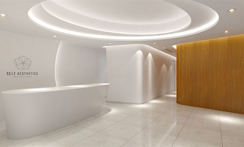 Modern Hall Medical Beauty Lobby 3d model