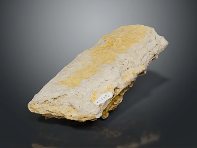Yellow White Natural Stone with Wood Like Textured Surface and Sample Label 3d model