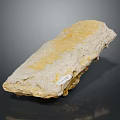 Yellow White Natural Stone with Wood Like Textured Surface and Sample Label