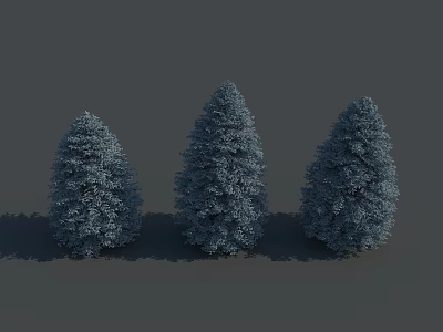 Three Conical Evergreen Trees With Deep Green Foliage And Shadows On Gray Background 3d model