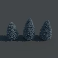 Three Conical Evergreen Trees With Deep Green Foliage And Shadows On Gray Background