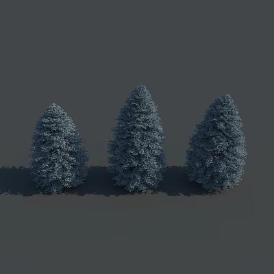 Three Conical Evergreen Trees With Deep Green Foliage And Shadows On Gray Background 3d model