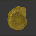 Natural Spiral Fossil Decorative Ornament With Brown Beige Texture For Home Decor