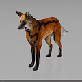 Red Fox 3D Character Model With White Tail Tip Standing On Dark Background 3d model