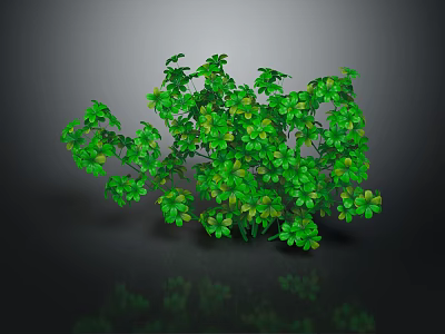 Healthy Green Plant With Lush Clover Shaped Leaves And Natural Growth 3d model
