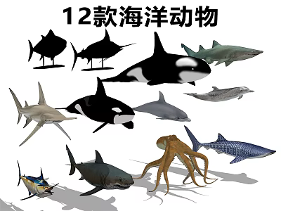 Modern Animal Marine Animal Octopus Shark Swordfish Beach Whale 3d model