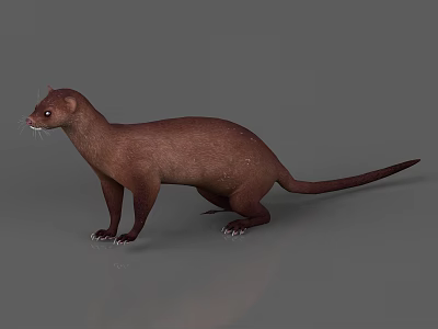 Detailed Realistic Brown Reptile 3D Model Standing Pose with Gray Background 3d model