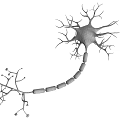 Medical Device with 3D Neuron Structure Model for Neural Research and Education