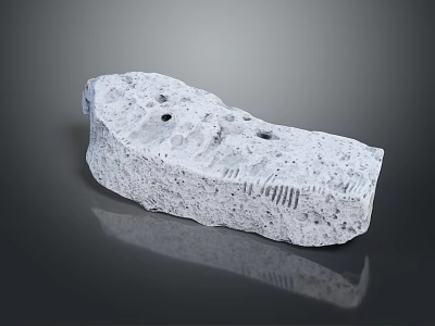 Natural Stone And Wood Decorative Piece With Rough Texture And Holes For Home Decor 3d model