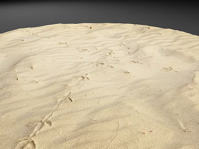 Artificial Rockery Stones Set On Sandy Surface With Scattered Footprints 3d model