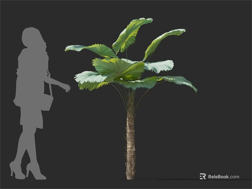 Tropical Arbor with Large Green Leaves Slender Trunk and Woman Silhouette 3d model 