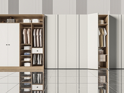 Modern wardrobe model