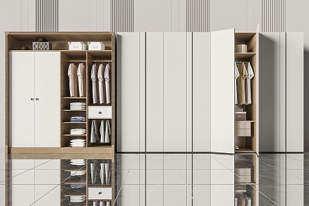 Modern wardrobe 3d model