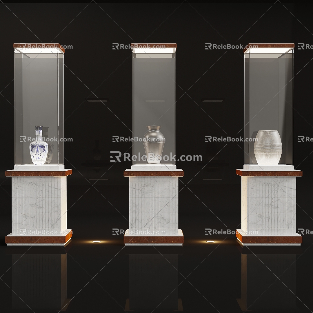 Modern Museum Display Cabinet 3d model