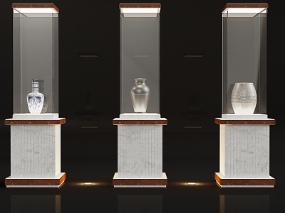 Modern Museum Display Cabinet 3d model