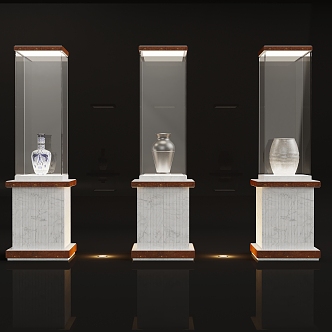 Modern Museum Display Cabinet 3d model