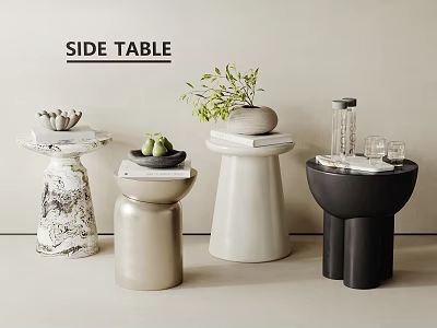 Modern Side Tables With Various Designs Plant Books And Glasses Decor 3d model