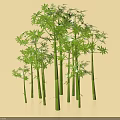 Beautiful Green Bamboo Plants With Tall Slender Stems And Lush Leaves